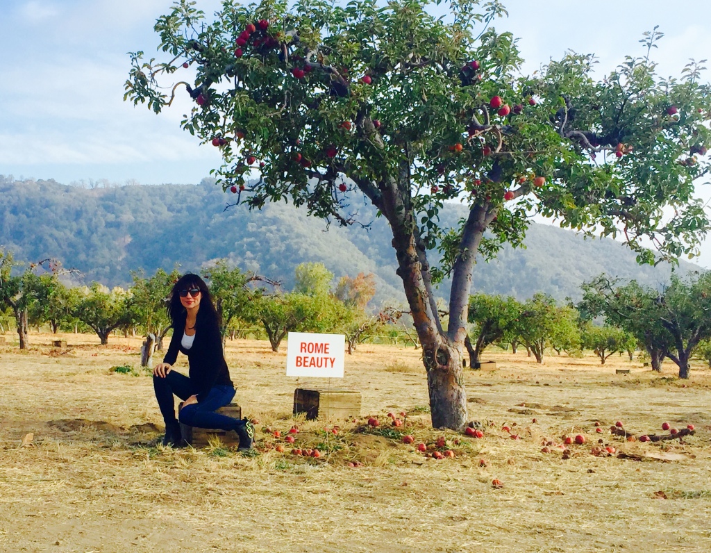 Apple Picking