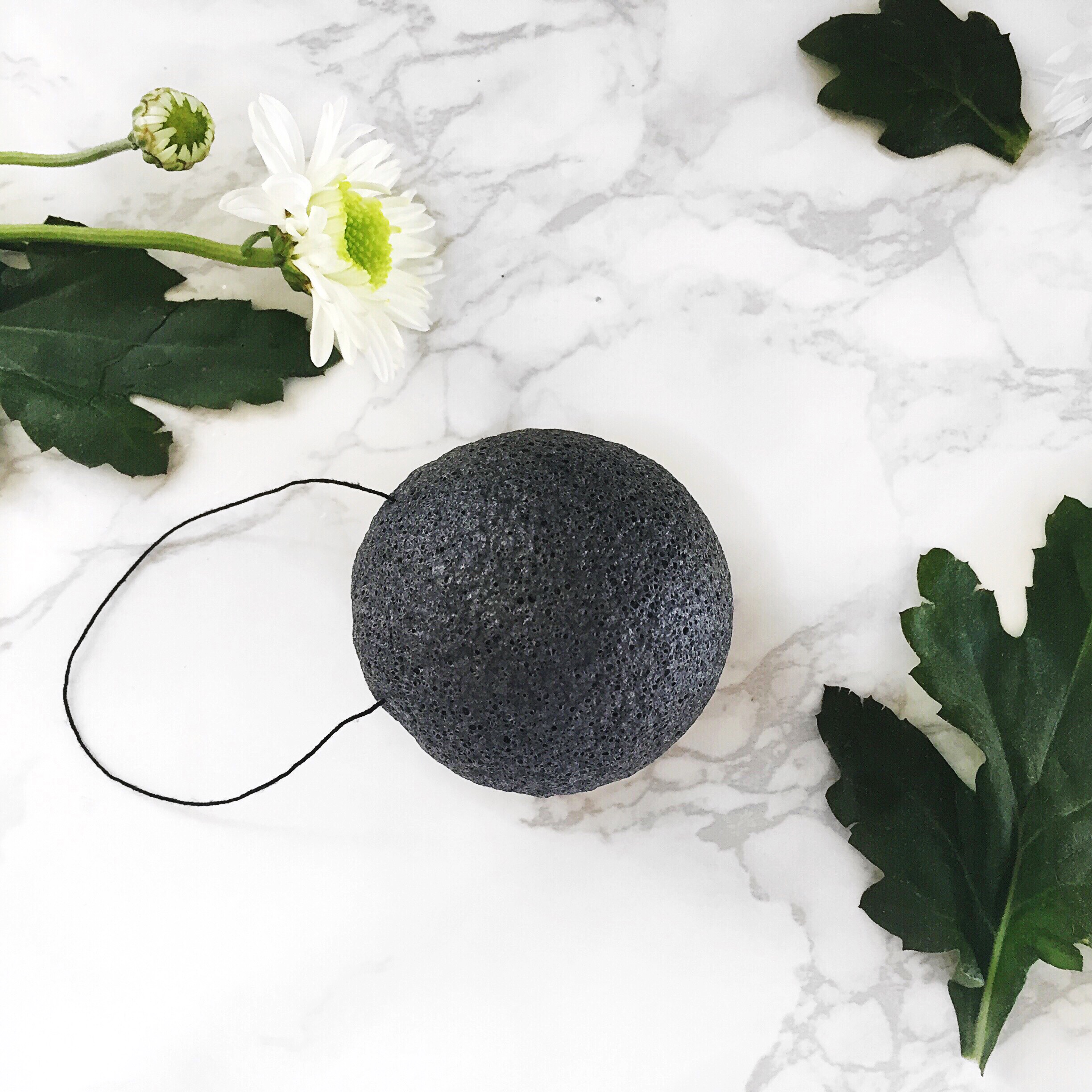 Konjac Facial Sponge - Jessica Remmers